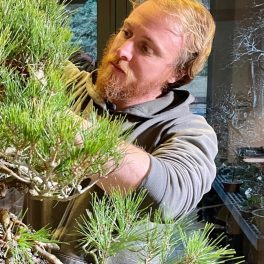 Daniel Coffey Asheville Bonsai Artist