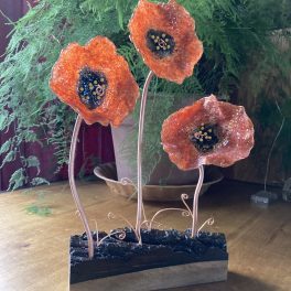 Poppies!