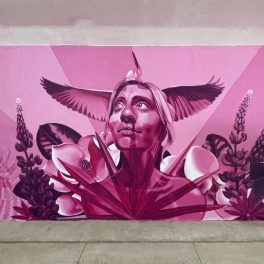 30A_walton_county_cultural_arts_alliance_underpass_mural_heather_clements